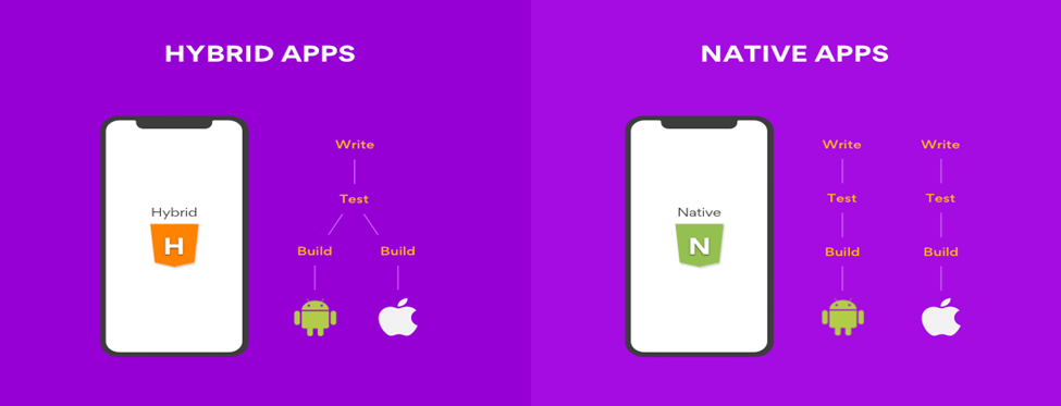 Native vs. Hybrid Mobile App Development Which is Better for Your Business