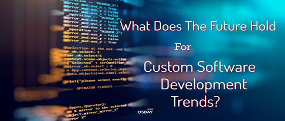 what does the future hold for custom software development
